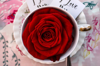 Valentine's Day Afternoon Tea